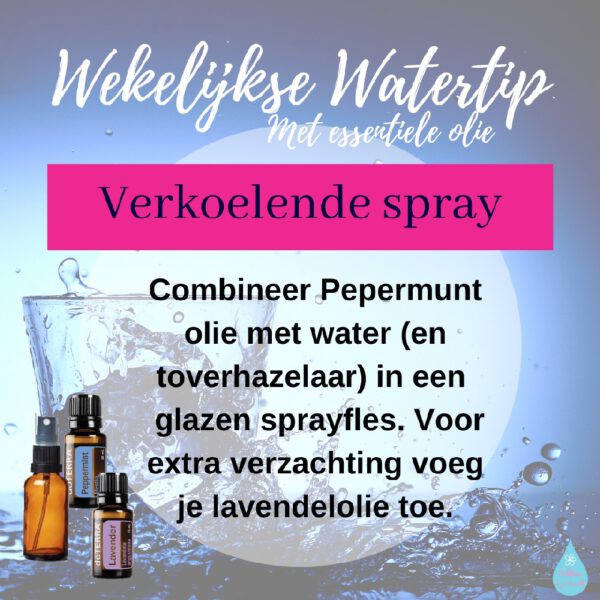 Water En Essentiële Olie – 10 Tips Voor Alledag - Zichtbaar In Je Kracht